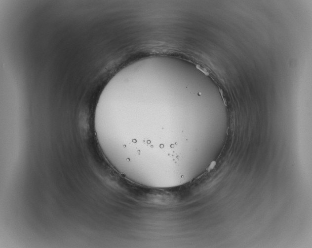 X0000111820215200908061142