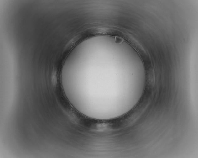 X0000111820216200908061142