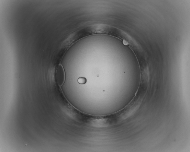 X0000111820217200908061142