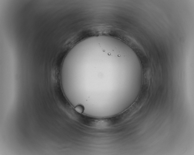 X0000111820218200908061142