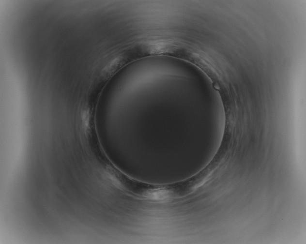 X0000111820219200908061142