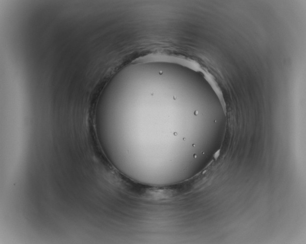 X0000111820221200908061142