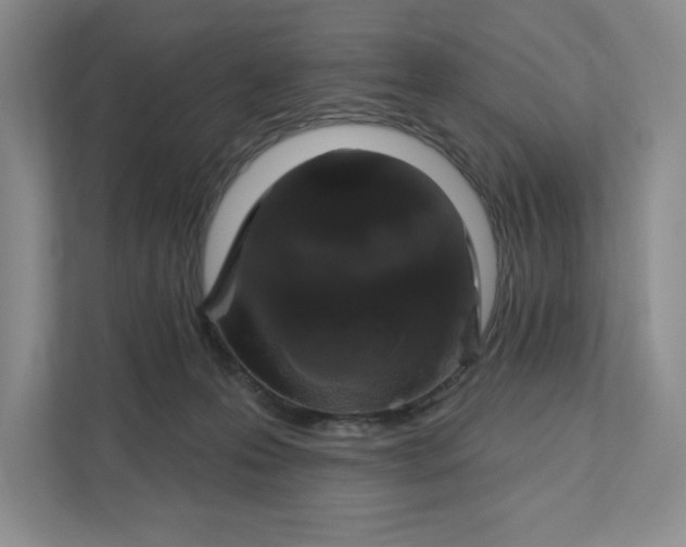 X0000111820223200908061142