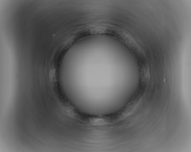 X0000111820224200908061142