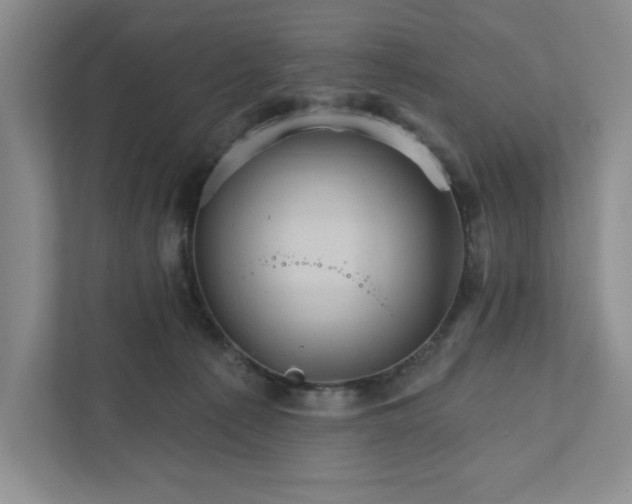 X0000111820225200908061142