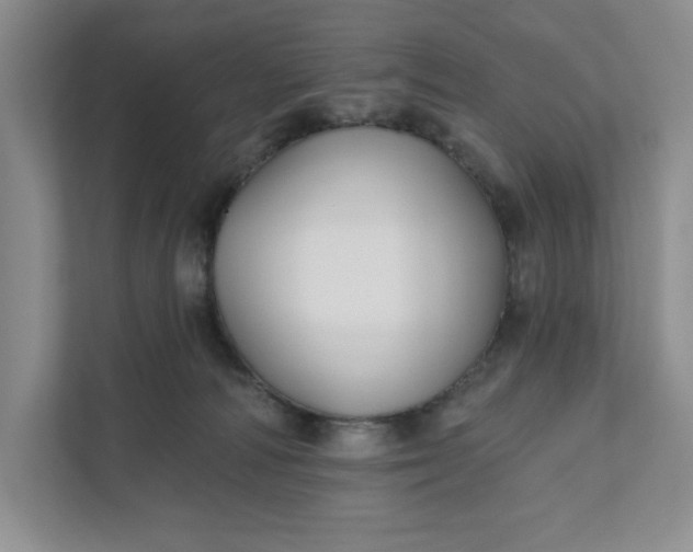 X0000111820226200908061142