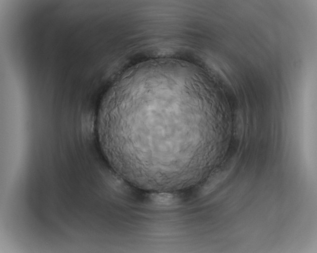 X0000111820230200908061142