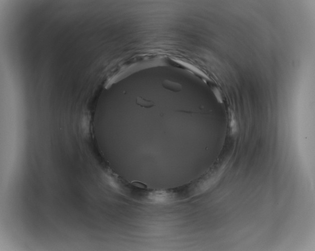 X0000111820231200908061142