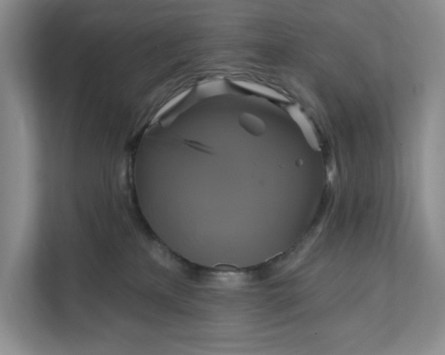 X0000111820233200908061142