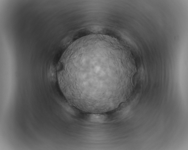 X0000111820234200908061142