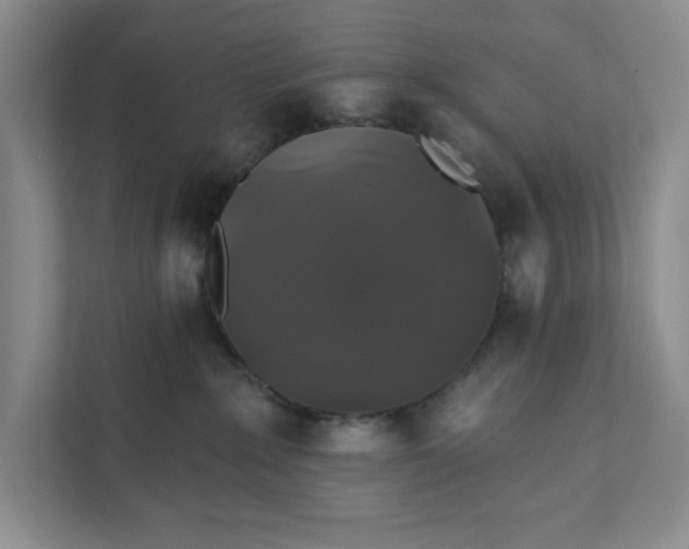 X0000111820235200908061142