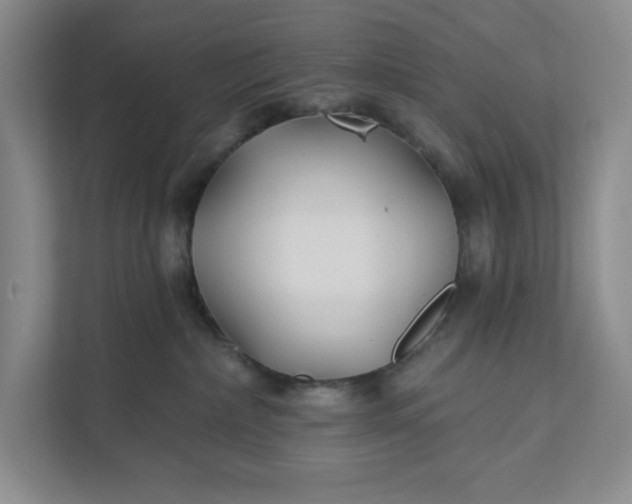 X0000111820236200908061142