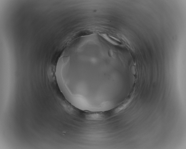 X0000111820237200908061142