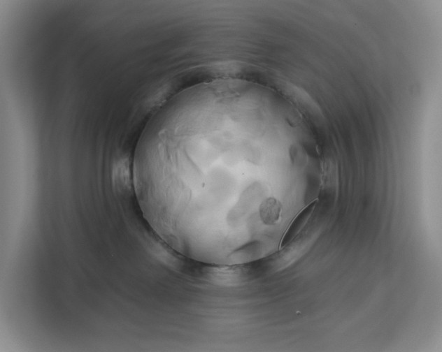 X0000111820238200908061142