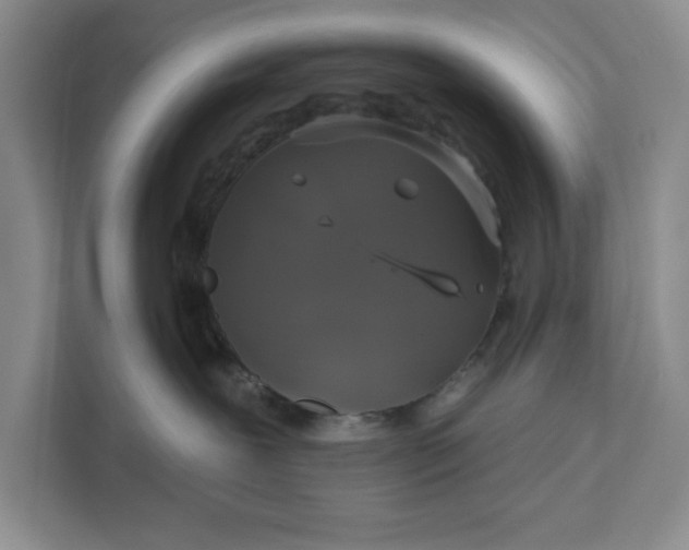 X0000111820239200908061142