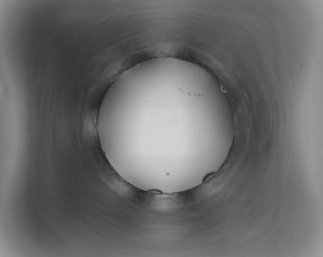 X0000111820240200908061141