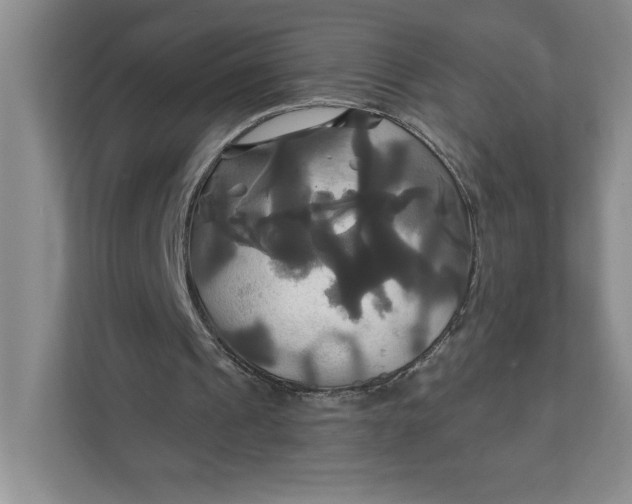 X0000111820241200908061141