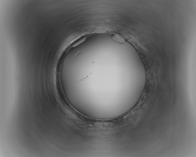 X0000111820242200908061141