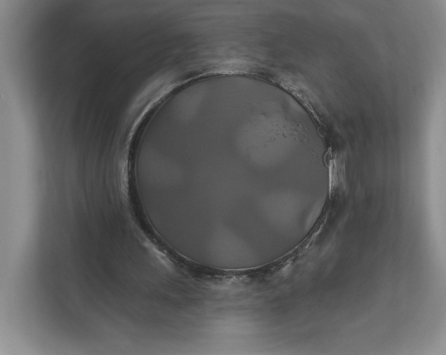 X0000111820243200908061141