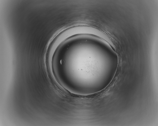 X0000111820244200908061141