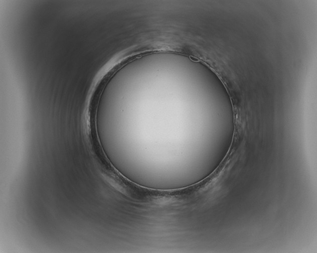 X0000111820246200908061141