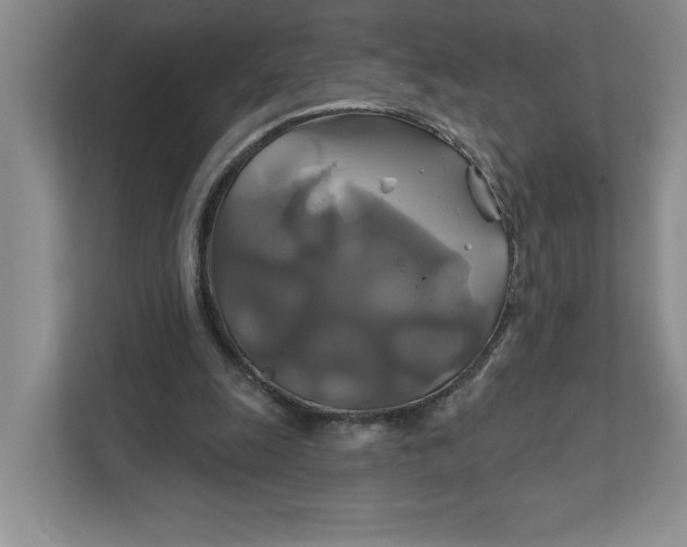 X0000111820247200908061141