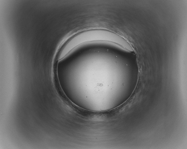 X0000111820248200908061141