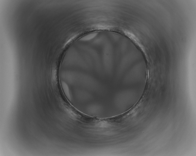 X0000111820249200908061141