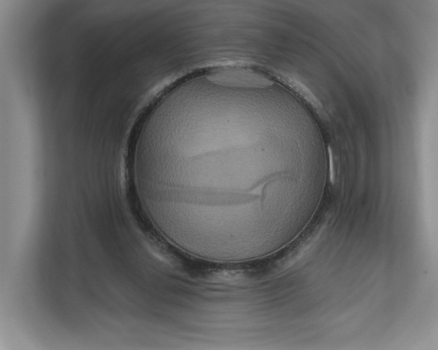 X0000111820252200908061141