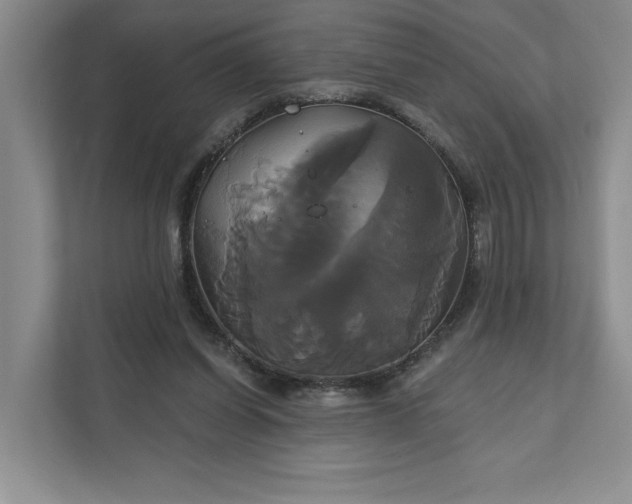 X0000111820254200908061141