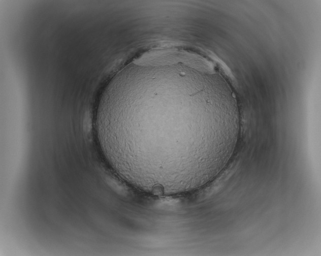 X0000111820257200908061141