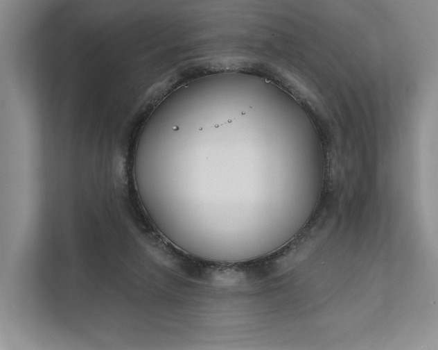 X0000111820258200908061141