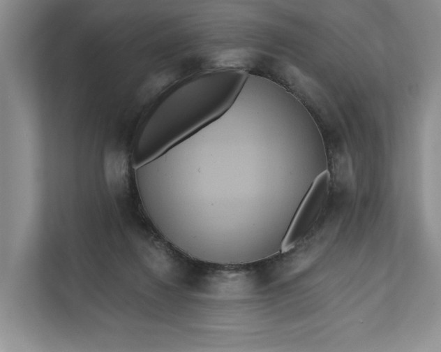 X0000111820260200908061141