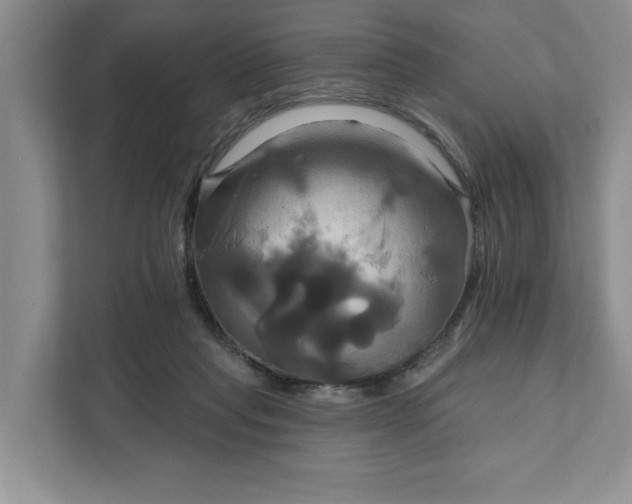 X0000111820261200908061141