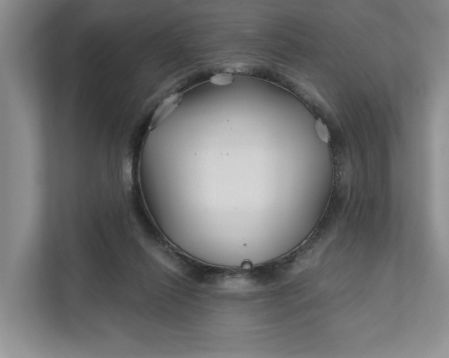 X0000111820262200908061141