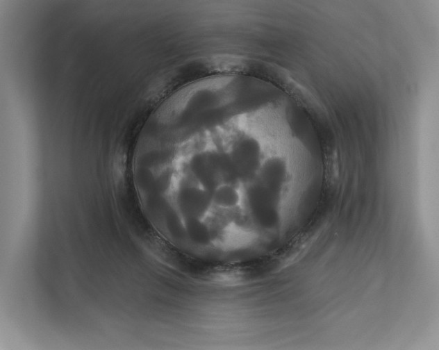 X0000111820263200908061141