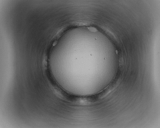 X0000111820264200908061141