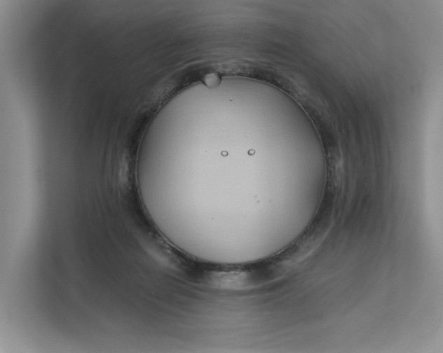 X0000111820266200908061141