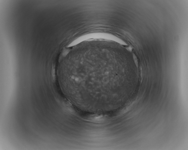 X0000111820267200908061141