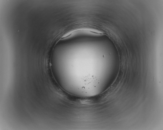 X0000111820268200908061141