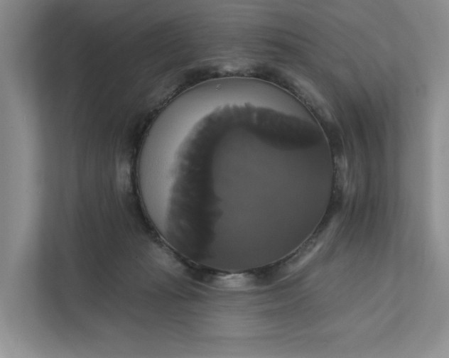 X0000111820269200908061141