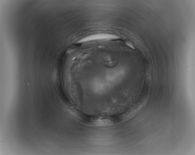 X0000111820270200908061141