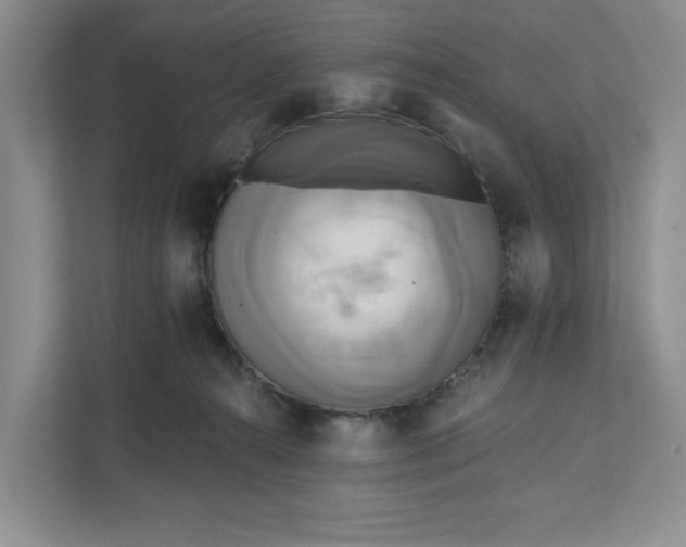 X0000111820272200908061141