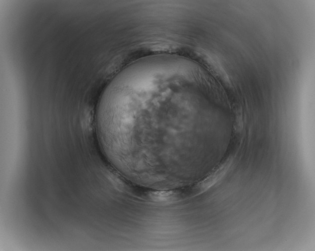 X0000111820273200908061141