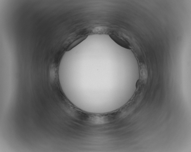 X0000111820276200908061141