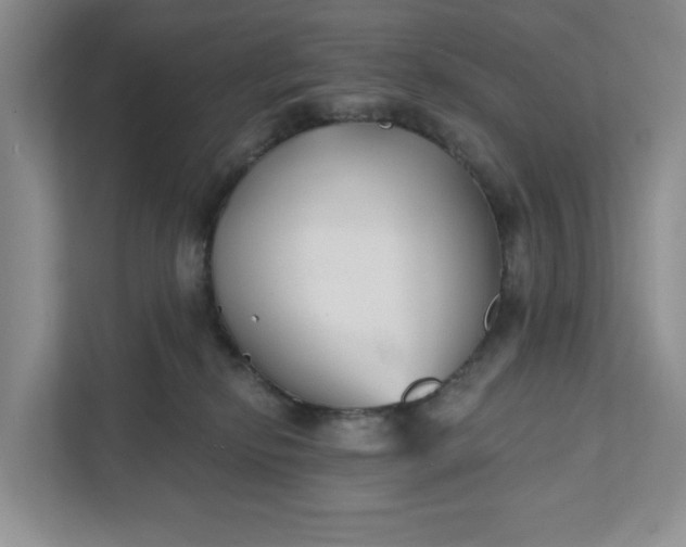 X0000111820278200908061141