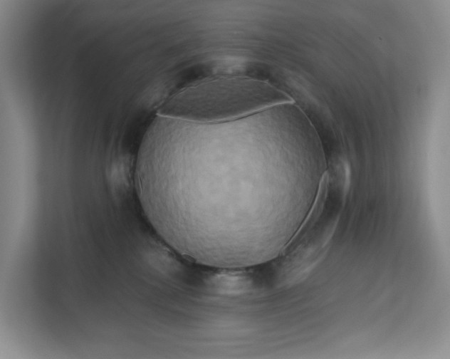 X0000111820280200908061141