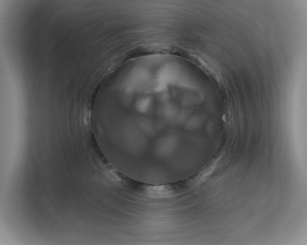 X0000111820281200908061141