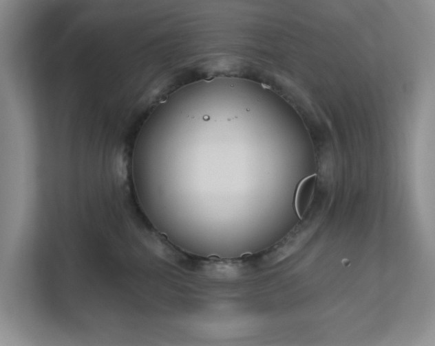 X0000111820282200908061141