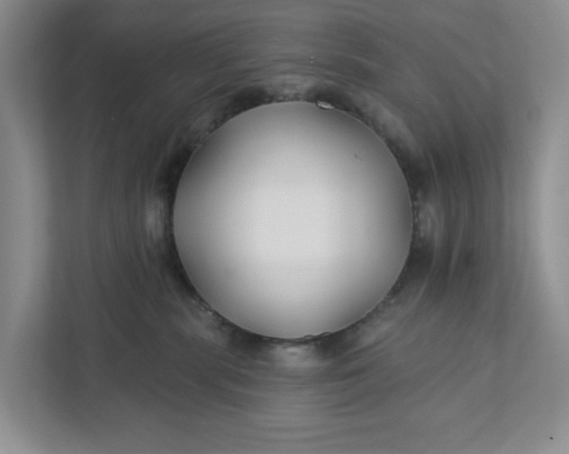 X0000111820283200908061141